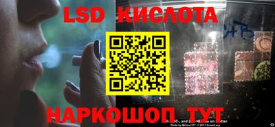 индика Лесосибирск