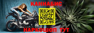 индика Лесосибирск