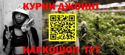 индика Лесосибирск