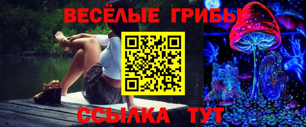 Псилоцибиновые грибы Magic Shrooms  Вход с VPN  Зерноград 